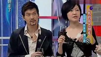 亚洲男gay,亚洲男同性恋群体的生活现状与挑战